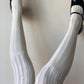 Cream Thigh-high Ribbed Cotton Socks - socks
